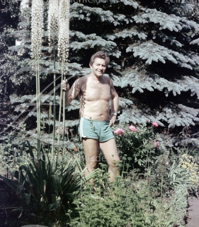 Mann im Garten mit Riesen-Steppenkerzen