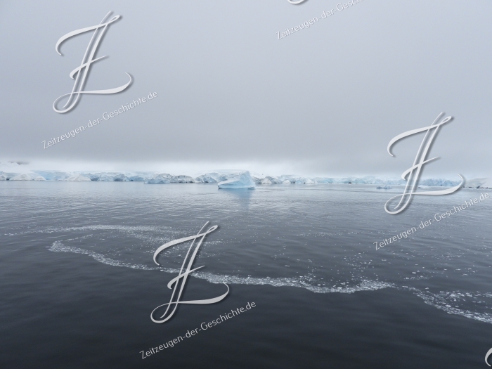 Eisberg mit Blick auf Bancroft Bay, 2020