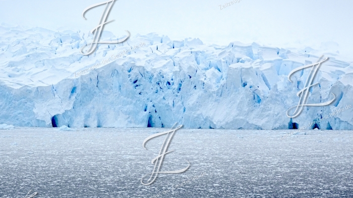 Weiße Eisberge in der Bancroft Bay, 2020