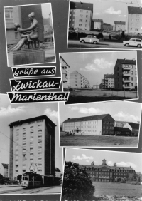 Vorderansicht - Ansichtskarte Zwickau - Marienthal, 1966 - Grußkarte zum Kaufen Echtes Foto (Handabzug)