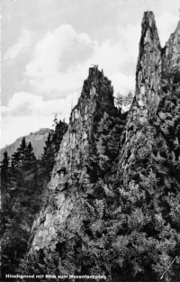 Vorderansicht - Hirschgrund mit Blick zum Hexenplatz, 1963 - Postkarte vom Berghotel Rosstrappe ungelaufen