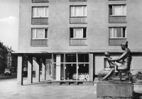 Vorderansicht - Zwickau -  Marienthal (Am Hochhaus), 1975 Echtes Foto (Handabzug)