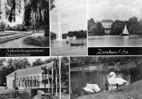 Vorderansicht - Zwickau -  Naherholungszentrum Schwanenteich, 1974 - Ansichtskarte zum Kaufen Echt Foto