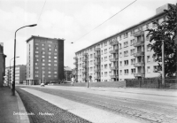Vorderansicht - Zwickau - Hochhaus im Stadtteil Marienthal, 1971 Echtes Foto (Handabzug)