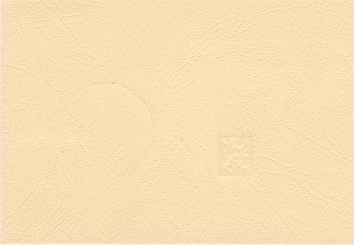 Rückansicht - Postkarte - XXIII. Internationaler Instrumentalwettbewerb in Markneukirchen - 25 Pfennig Briefmarke DDR - Oboe, Klarinette, Querflöte, 1988 sehr tolles Postkarten-Papier!