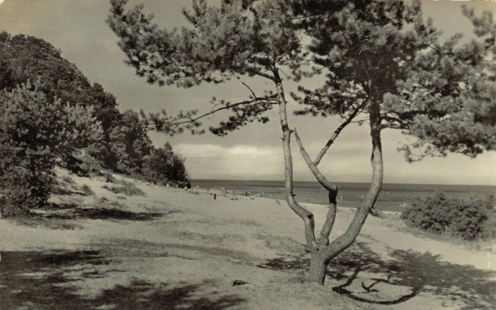Vorderansicht - Ostseebad Baabe - Blick zum Strand, Postkarte 1958 - Blick zum Strand ungelaufen