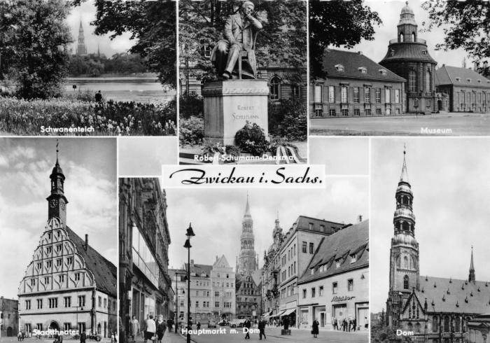 Schwanenteich, Robert-Schumann-Denkmal, Museum, Stadttheater, Hauptmarkt und Dom