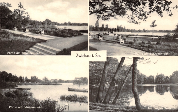 Vorderansicht - Zwickau - Partie am Schwanenteich, 1963 - Ansichtskarte zum Kaufen Partie am Schwanenteich, Am langen Teich